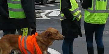 "Gilets jaunes" à St-Pons-de-Thomières : journal de bord